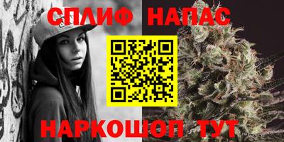 мдпв Ярославль